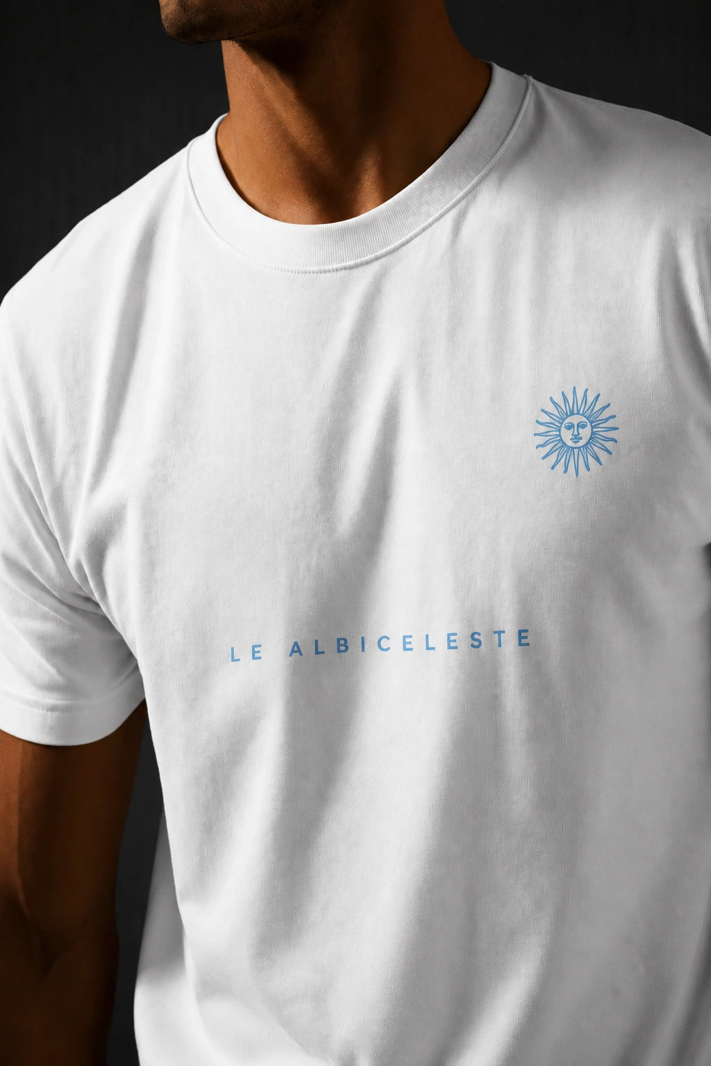 Argentina Minimalist Unisex T-Shirt