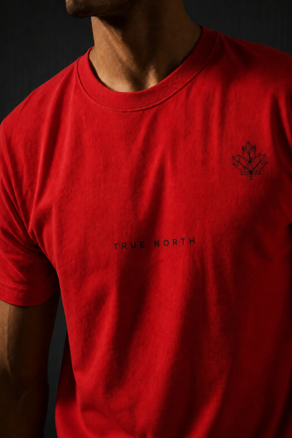 Canada Minimalist Unisex T-Shirt