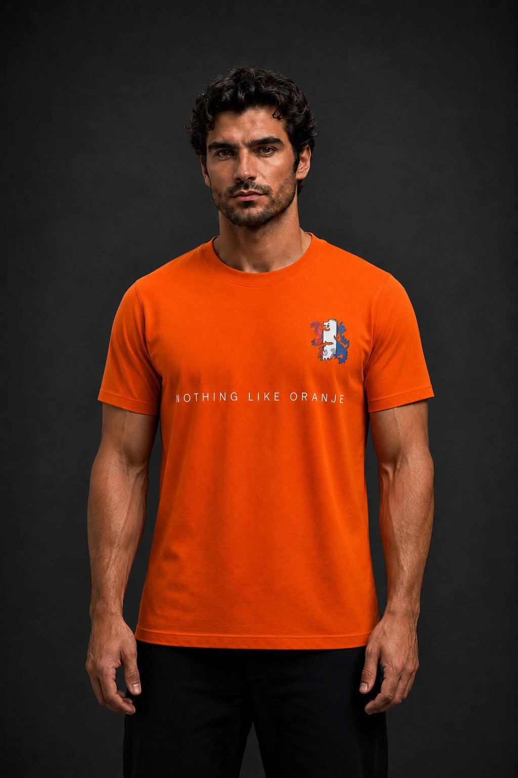 Netherlands Minimalist Unisex T-Shirt