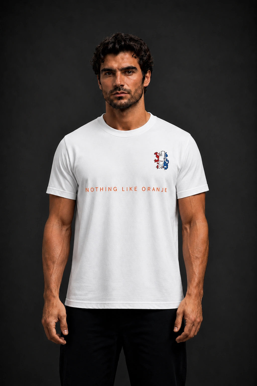 Netherlands Minimalist Unisex T-Shirt