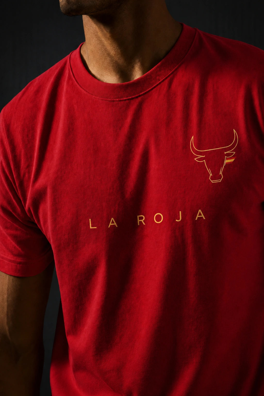 Spain Minimalist Unisex T-Shirt