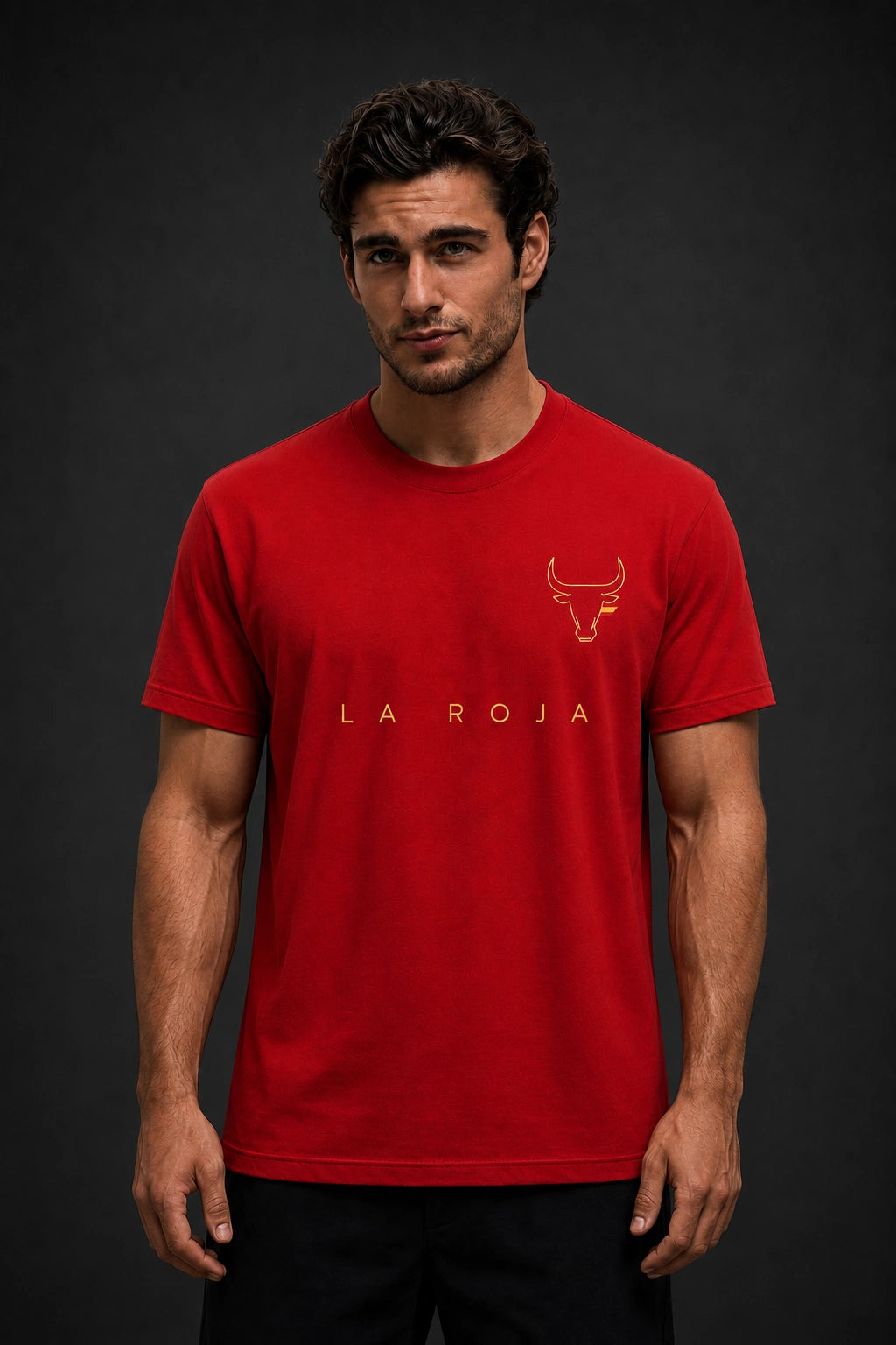 Spain Minimalist Unisex T-Shirt