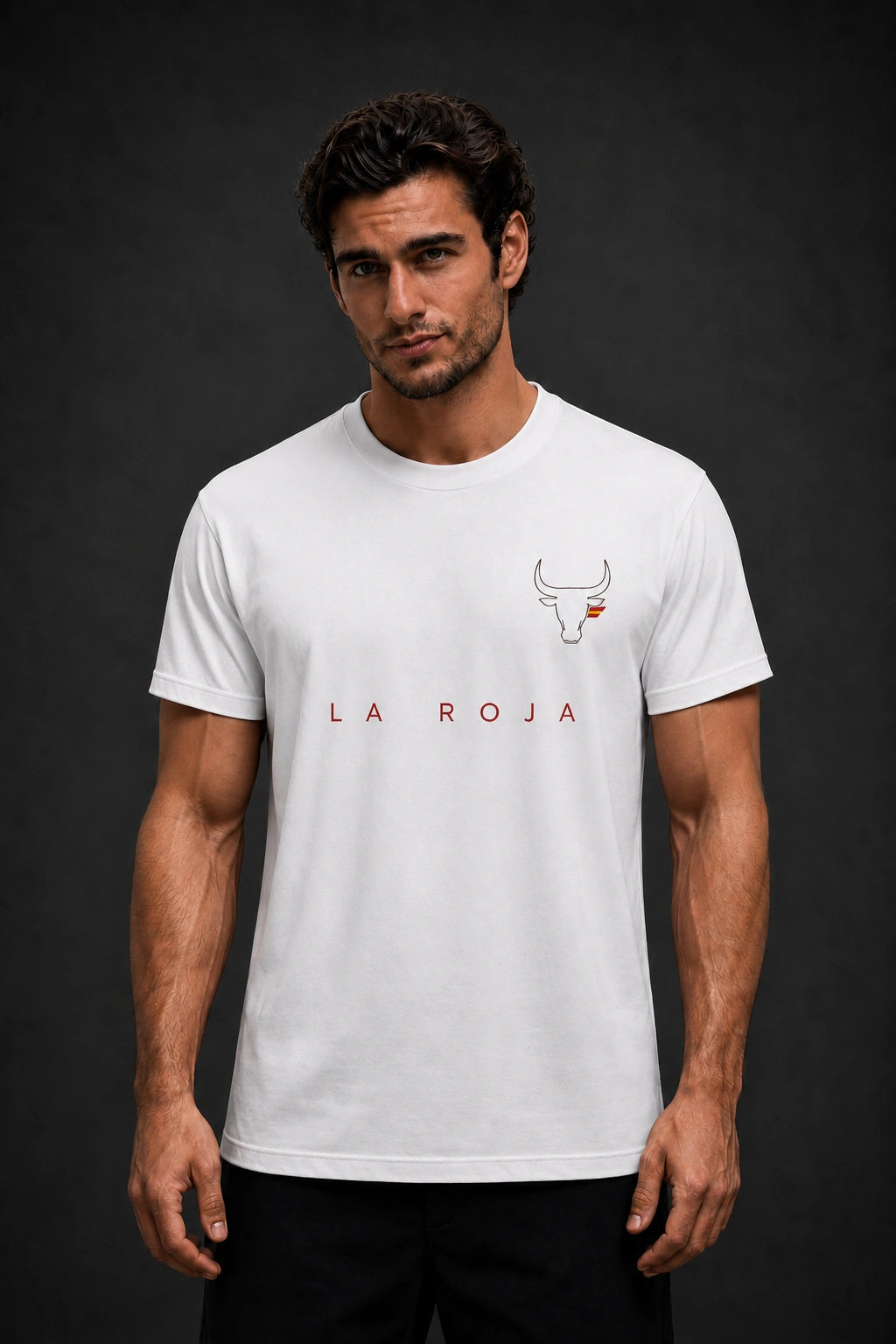 Spain Minimalist Unisex T-Shirt