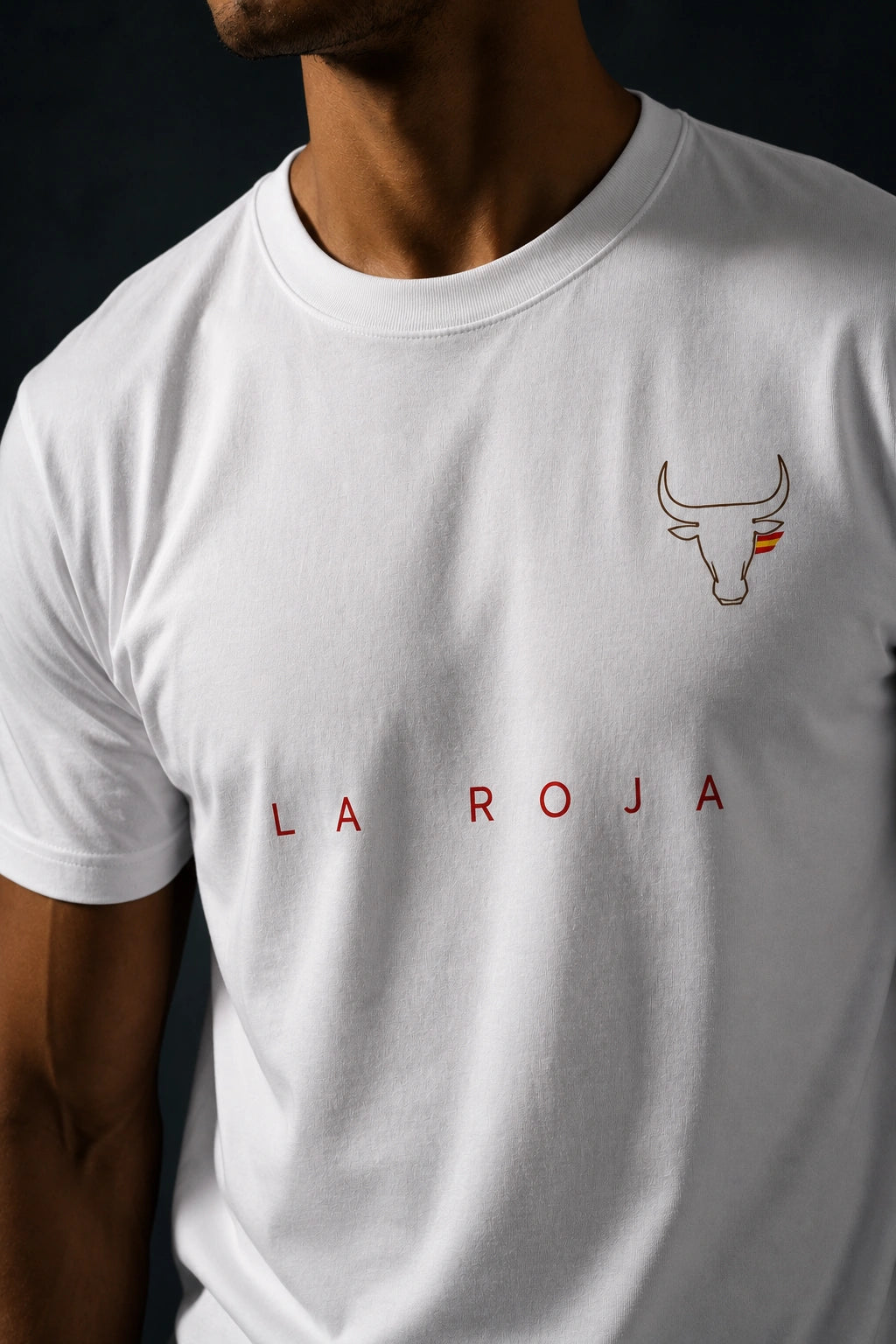 Spain Minimalist Unisex T-Shirt