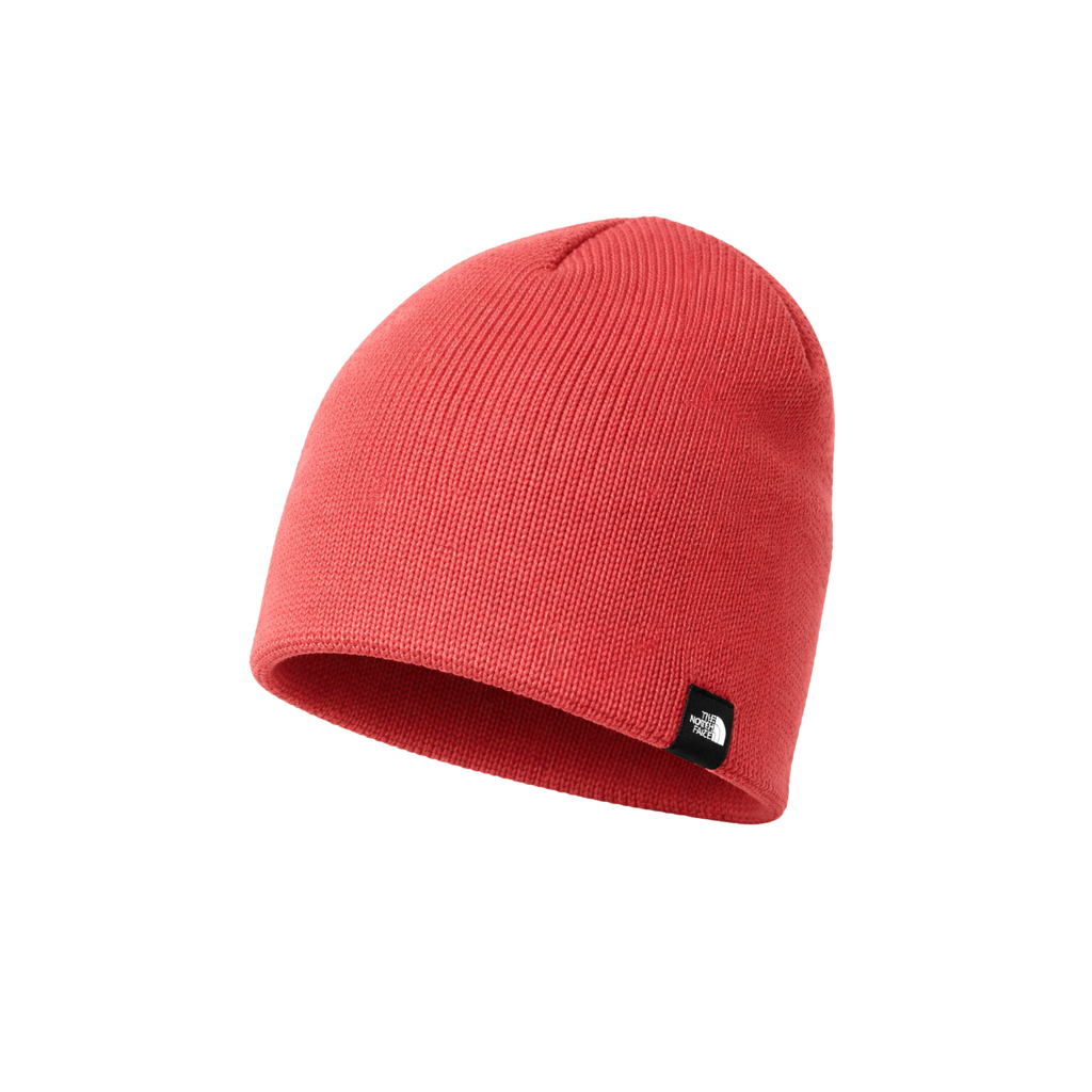THE NORTH FACE® MOUNTAIN BEANIE. NF0A4VUB image 4